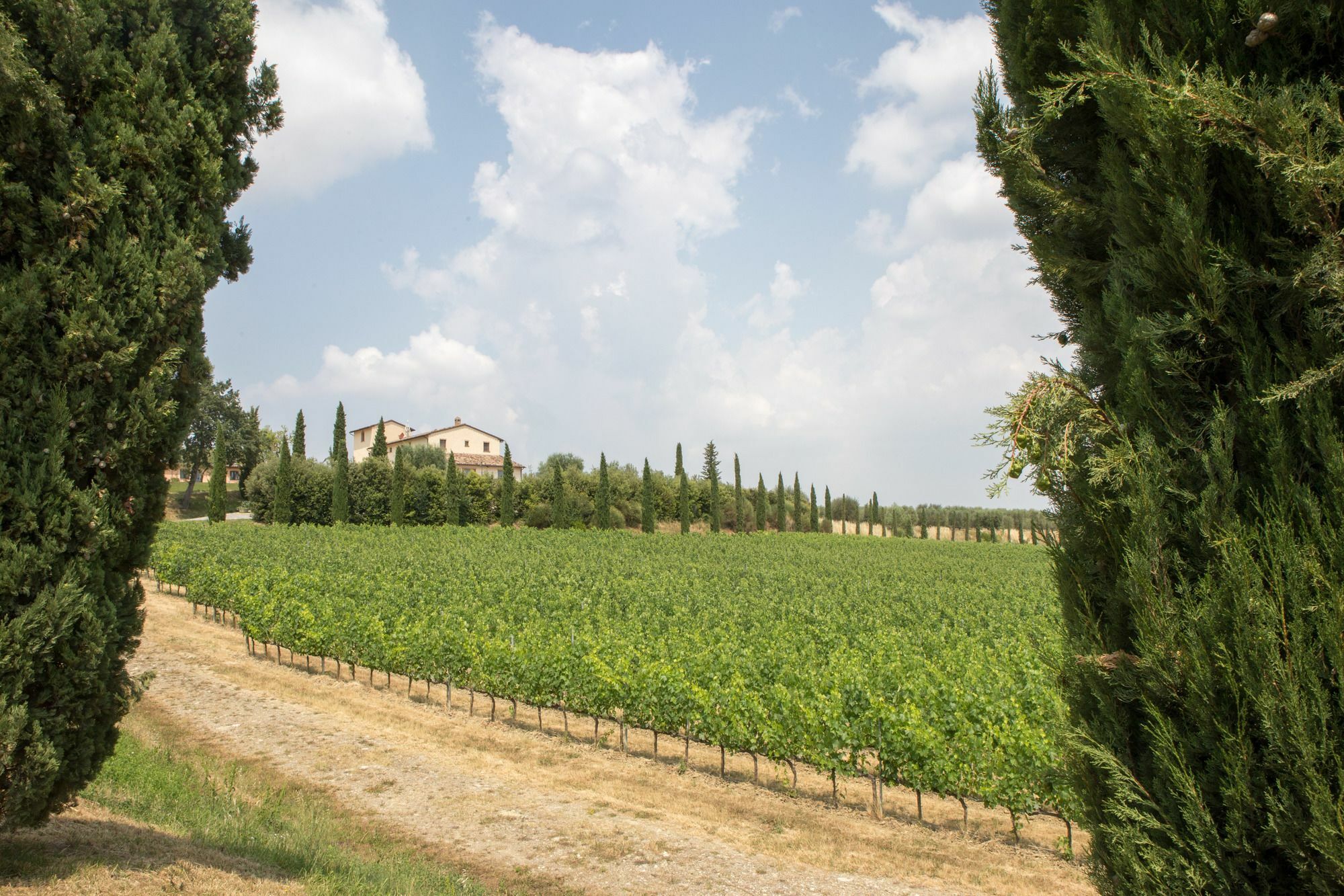 Le Buche Wine Resort&Spa Macciano 外观 照片