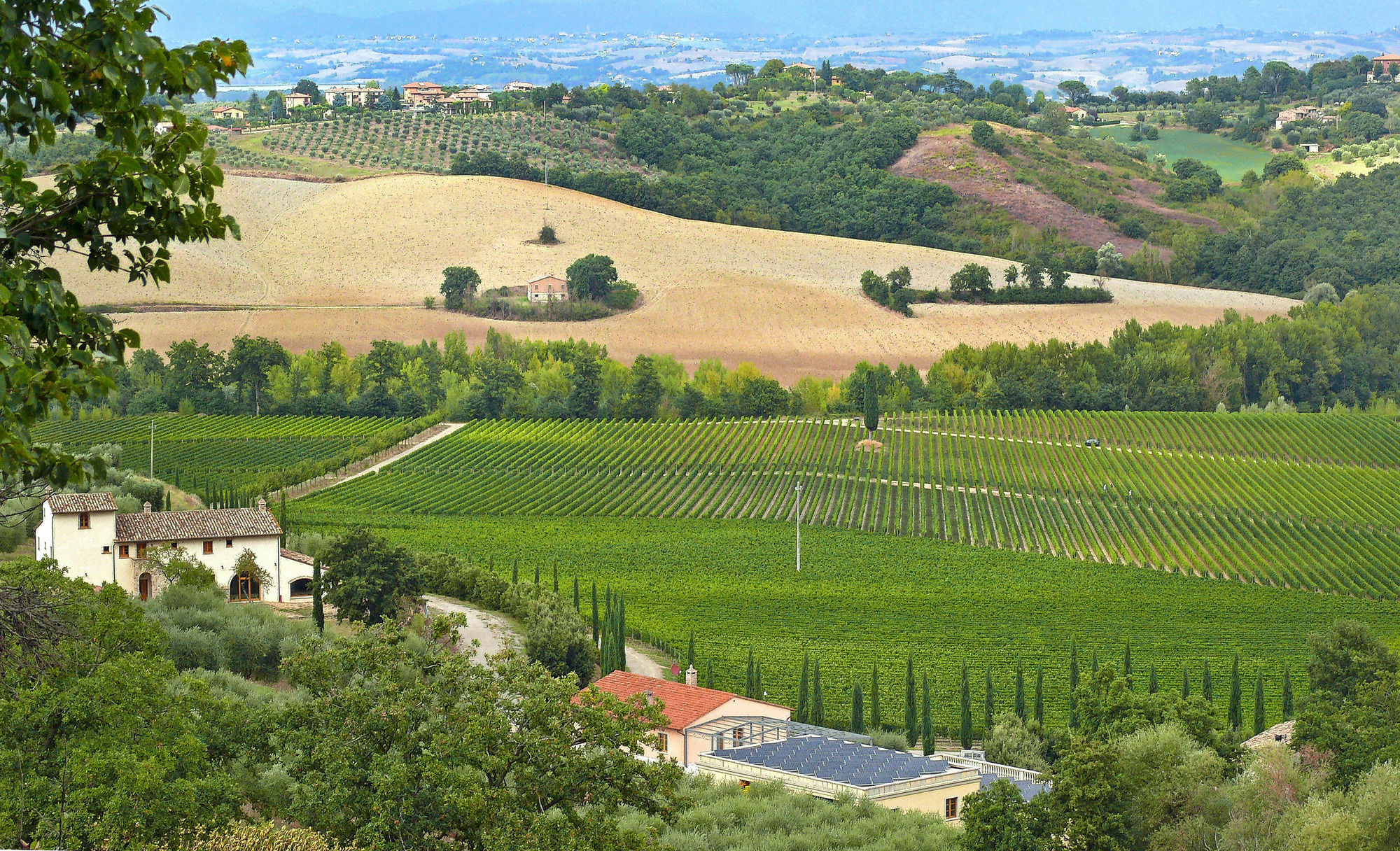Le Buche Wine Resort&Spa Macciano 外观 照片